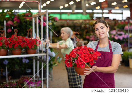 Young saleswoman holding red petunia in flower pot in open-air plants market 123683419