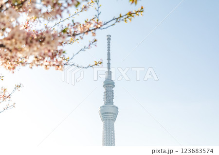 「東京都」隅田公園 春の風景 「東京都」隅田公園 春の風景 123683574