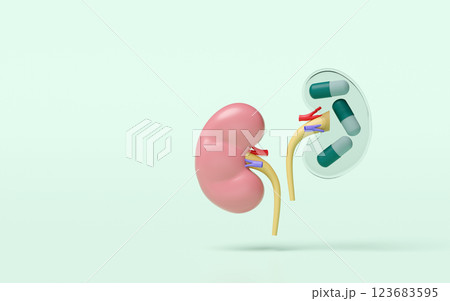 3d Innovation of kidney disease medicine isolated on green background. medicare, world kidney day concept, 3d illustration render 123683595