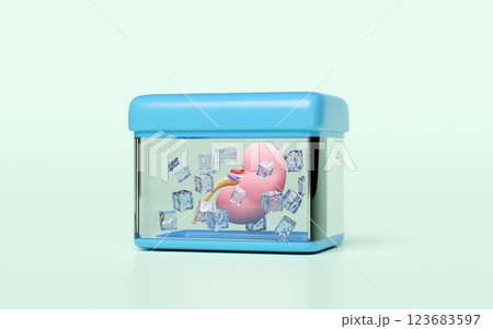 3d realistic human kidney in cold storage tank isolated on green background. organ transport, world kidney day concept, 3d illustration render 123683597