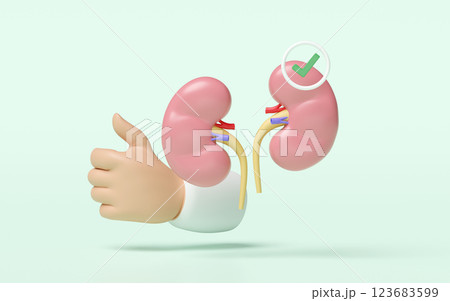 3d human kidney with doctor hand raising thumb, check mark isolated on green background. health check, medicare, world kidney day concept, 3d illustration render 123683599
