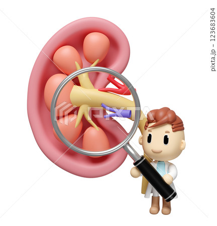3d human kidney cross section with doctor holding a magnifying glass isolated. health check, medicare concept, 3d illustration render 3d human kidney cross section with doctor holding a magnifying glass isolated. health check, medicare concept, 3d illustration render 123683604