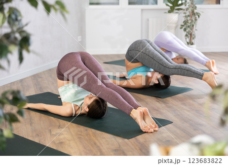 Group of active women practice various yoga poses Group of active women practice various yoga poses 123683822