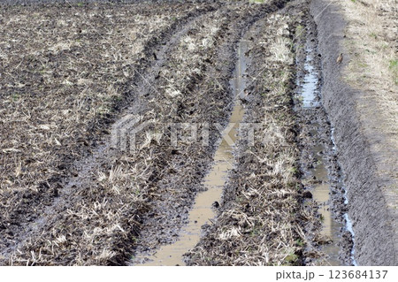田んぼ 土作り 123684137
