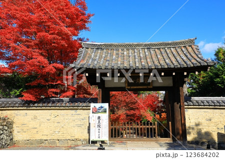 鹿王院　紅葉風景　山門 123684202