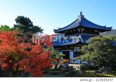 鹿王院　紅葉風景 123684247