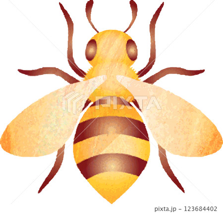 水彩 蜜蜂 みつばち ミツバチ 虫 昆虫 飾り かわいい イラスト素材 水彩 蜜蜂 みつばち ミツバチ 虫 昆虫 飾り かわいい イラスト素材 123684402