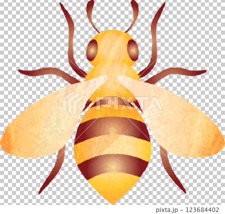 水彩 蜜蜂 みつばち ミツバチ 虫 昆虫 飾り かわいい イラスト素材 水彩 蜜蜂 みつばち ミツバチ 虫 昆虫 飾り かわいい イラスト素材 123684402