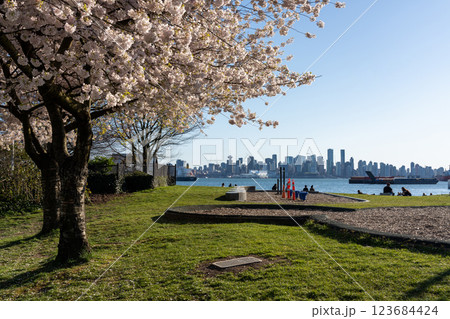 North Vancouver, BC, Canada - April 13 2021 : Waterfront Park in springtime season. People are here enjoying cherry blossoms in full bloom. 123684424