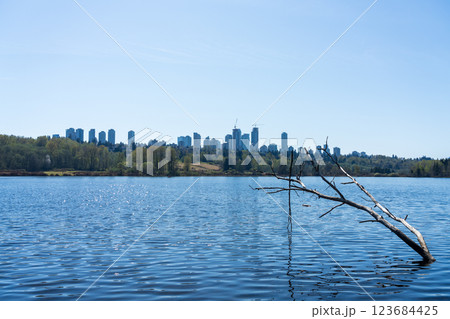 Deer Lake Park lakeshore. Metrotown modern buildings skyline in the background. Burnaby, BC, Canada. Deer Lake Park lakeshore. Metrotown modern buildings skyline in the background. Burnaby, BC, Canada. 123684425