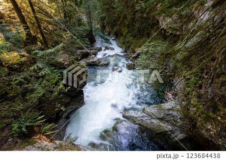 Lynn Canyon Park Twin Falls, North Vancouver, British Columbia, Canada. Lynn Canyon Park Twin Falls, North Vancouver, British Columbia, Canada. 123684438