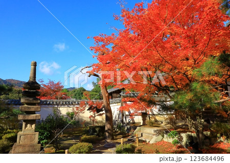 鹿王院 紅葉風景 鹿王院 紅葉風景 123684496