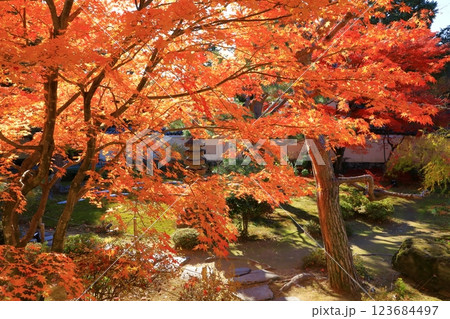 鹿王院　紅葉風景 123684497