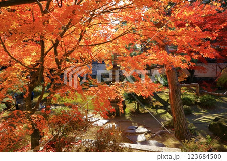 鹿王院　紅葉風景 123684500