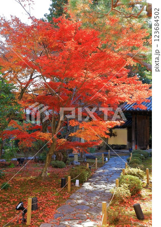 鹿王院 紅葉風景 鹿王院 紅葉風景 123684502