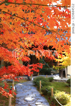 鹿王院　紅葉風景 123684512