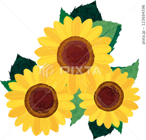 水彩 ひまわり ヒマワリ 向日葵 夏 花 植物 イラスト 素材 水彩 ひまわり ヒマワリ 向日葵 夏 花 植物 イラスト 素材 123684596