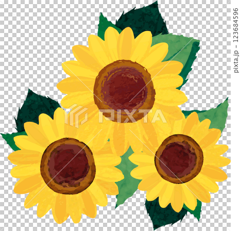 水彩 ひまわり ヒマワリ 向日葵 夏 花 植物 イラスト 素材 水彩 ひまわり ヒマワリ 向日葵 夏 花 植物 イラスト 素材 123684596