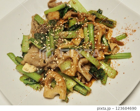 野菜とお肉の炒めもの、妻の手作り家庭料理、家庭で楽しむ夕ご飯、幸せ家族 野菜とお肉の炒めもの、妻の手作り家庭料理、家庭で楽しむ夕ご飯、幸せ家族 123684690