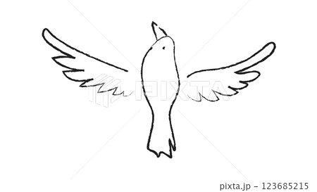白黒の手描き線画の飛ぶ鳥 123685215