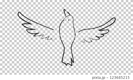 白黒の手描き線画の飛ぶ鳥 123685215