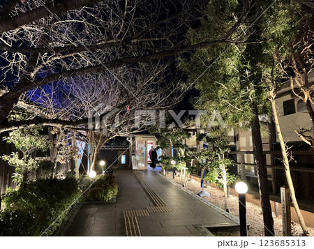 夜の庭園、ライトアップされた風景 夜の庭園、ライトアップされた風景 123685313