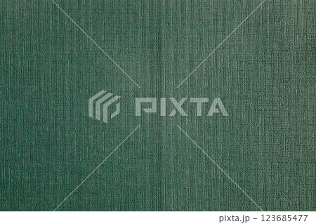 green old paper texture with vertical lines 123685477
