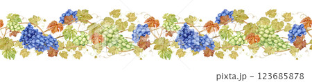 Horizontal pattern of grapevine, foliage, blue and green berries. Watercolor illustration in retro style. Clipart for wine label design in retro style. Seamless border of intertwined grape branches. Horizontal pattern of grapevine, foliage, blue and green berries. Watercolor illustration in retro style. Clipart for wine label design in retro style. Seamless border of intertwined grape branches. 123685878