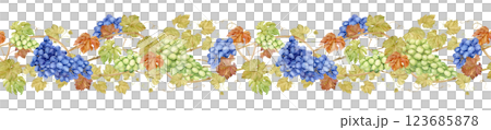 Horizontal pattern of grapevine, foliage, blue and green berries. Watercolor illustration in retro style. Clipart for wine label design in retro style. Seamless border of intertwined grape branches. Horizontal pattern of grapevine, foliage, blue and green berries. Watercolor illustration in retro style. Clipart for wine label design in retro style. Seamless border of intertwined grape branches. 123685878
