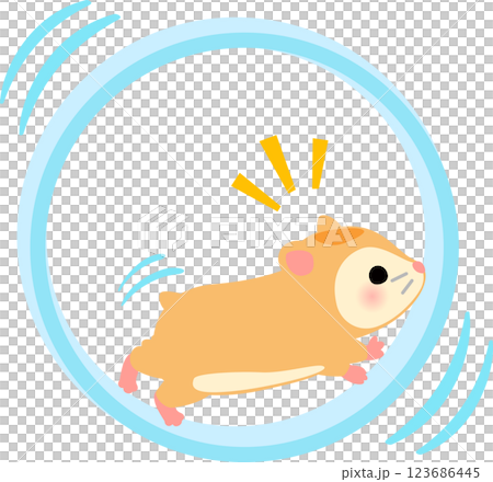 Hamster running in a wheel 123686445