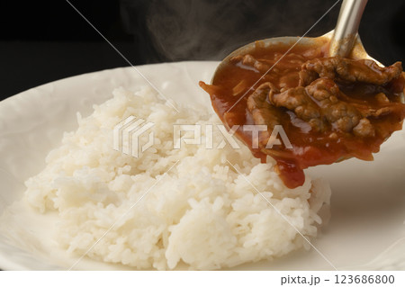 ハヤシライスをごはんにかける ハヤシライスをごはんにかける 123686800