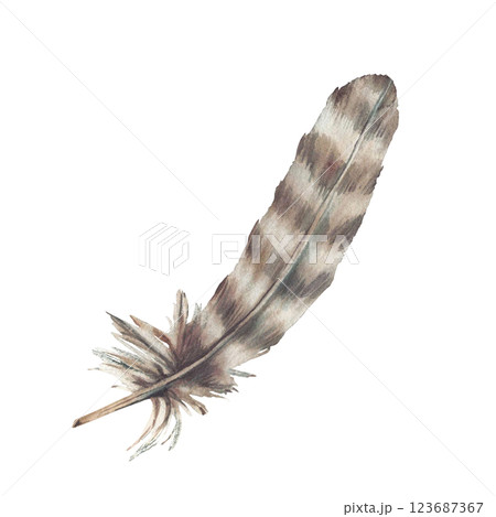 Bird feather beige, brown, pastel coloured and natural ornaments Real wings watercolor realistic hand drawn illustration. Decoration accessory for card, sticker design Isolated from background clipart 123687367