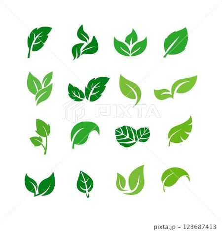 Green leaf icons set. Leaves icon on isolated background. Collection green leaf. Elements design for natural, eco, vegan, bio labels. Vector illustration. 123687413