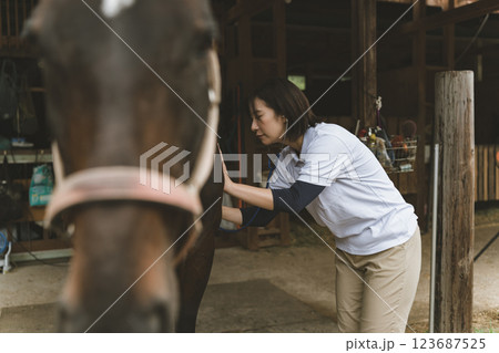 involved with horses 123687525