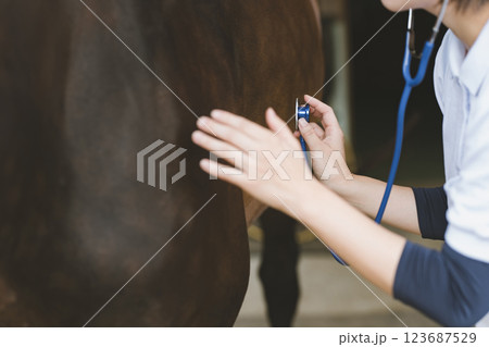 involved with horses involved with horses 123687529