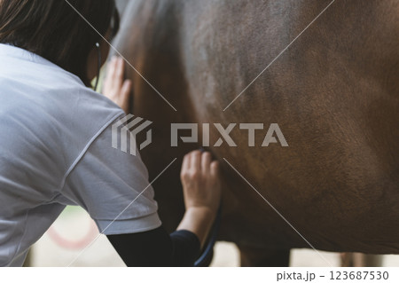 involved with horses 123687530
