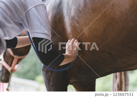 involved with horses 123687531