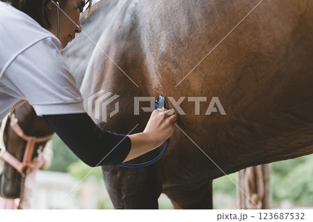 involved with horses involved with horses 123687532