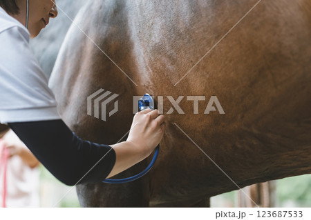 involved with horses involved with horses 123687533