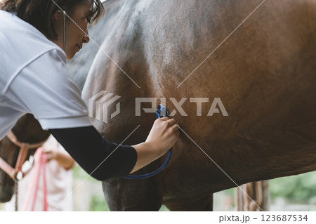 involved with horses involved with horses 123687534