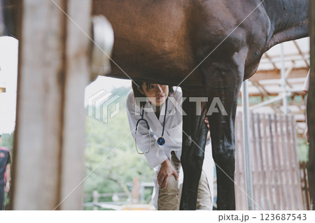 involved with horses 123687543