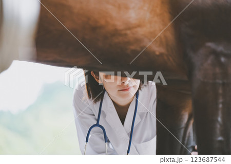 involved with horses 123687544