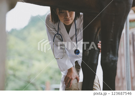 involved with horses 123687546