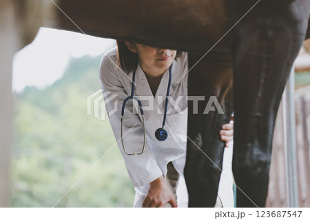 involved with horses 123687547
