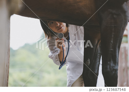 involved with horses 123687548
