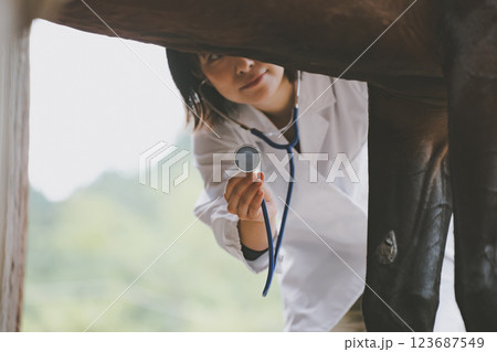 involved with horses involved with horses 123687549