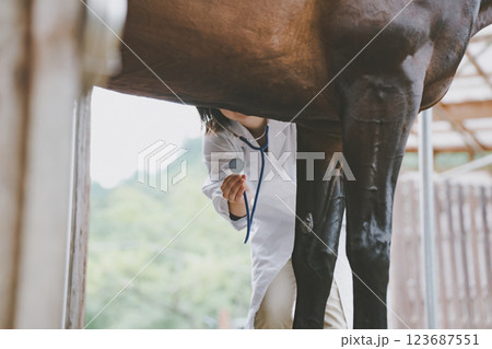involved with horses 123687551