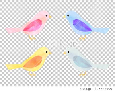 Colorful bird illustration material set 123687599