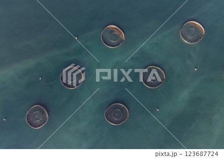 Footage of fish ponds, the main form of aquaculture. Salmon, sea bass, sea bream and trout are the most commonly grown fish in fish ponds used for commercial fishing in the sea, lakes and ponds. 123687724