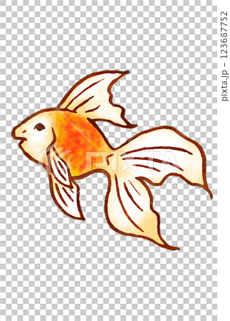Goldfish 2 123687752
